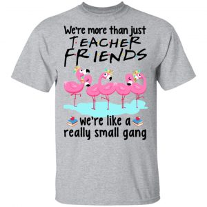 We’re More Than Just Teacher Friends Flamingo Shirt 14