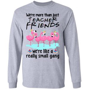 We’re More Than Just Teacher Friends Flamingo Shirt 18