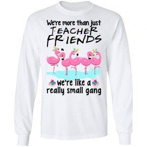 We’re More Than Just Teacher Friends Flamingo Shirt 19