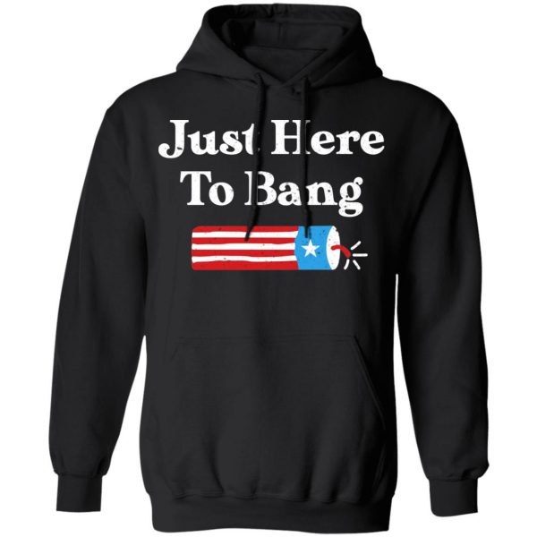 Just Here to Bang 4th of July Shirt 10