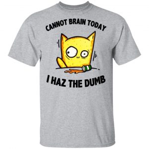 Cat Cannot Brain Today I Haz The Dumb Shirt 14