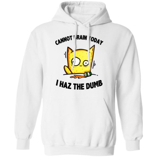 Cat Cannot Brain Today I Haz The Dumb Shirt 11