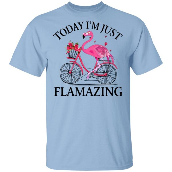 Today I’m Just Flamazing Flamingo T-Shirts 1