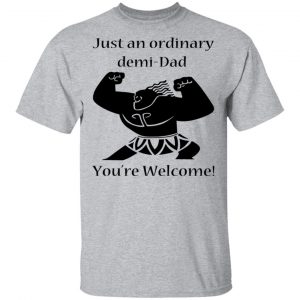 Just An Ordinary Demi-Dad You’re Welcome T-Shirts 14