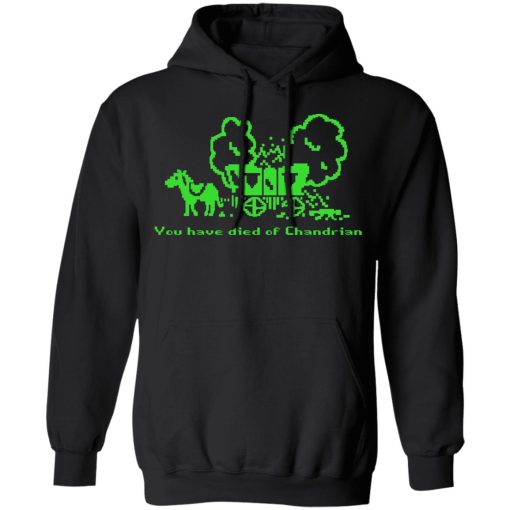 You Have Died Of Chandrian T-Shirts, Hoodies, Sweatshirt - Image 10