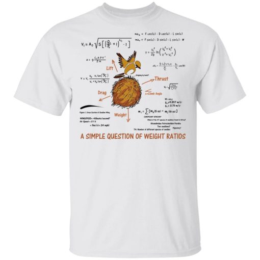 A Simple Question Of Weight Ratios Funny Math Teacher T-Shirts, Hoodies, Sweater - Image 2