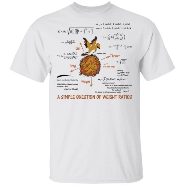 A Simple Question Of Weight Ratios Funny Math Teacher T-Shirts, Hoodies, Sweater 2