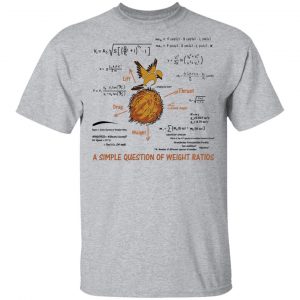 A Simple Question Of Weight Ratios Funny Math Teacher T-Shirts, Hoodies, Sweater 14