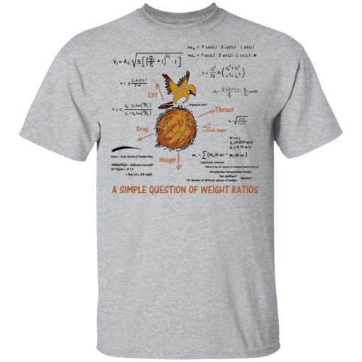 A Simple Question Of Weight Ratios Funny Math Teacher T-Shirts, Hoodies, Sweater - Image 3