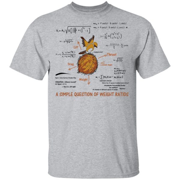 A Simple Question Of Weight Ratios Funny Math Teacher T-Shirts, Hoodies, Sweater 3