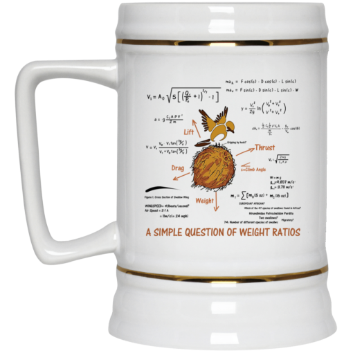 A Simple Question Of Weight Ratios Funny Math Teacher 11 15 oz Mug 4