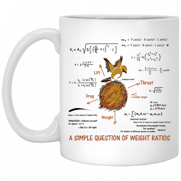 A Simple Question Of Weight Ratios Funny Math Teacher 11 15 oz Mug 1