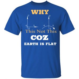 Why This Not This Coz Earth Is Flat T-Shirts, Hoodies, Sweater 16