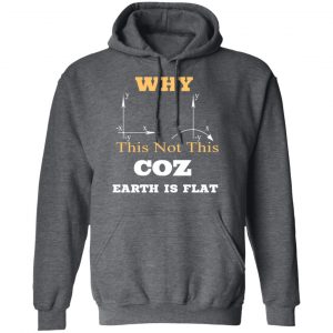 Why This Not This Coz Earth Is Flat T-Shirts, Hoodies, Sweater 24