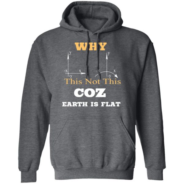 Why This Not This Coz Earth Is Flat T-Shirts, Hoodies, Sweater 12