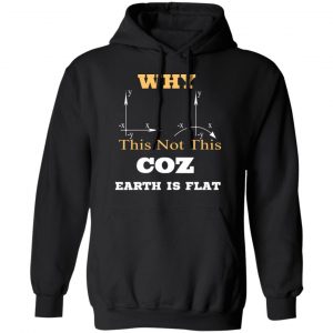 Why This Not This Coz Earth Is Flat T-Shirts, Hoodies, Sweater 22