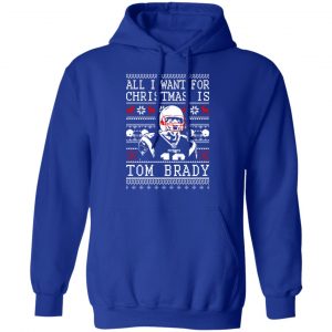 Premium 7 rings 23 years 1 tom brady shirt, hoodie, sweater, long sleeve  and tank top