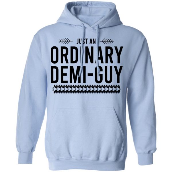 Just An Ordinary Demi-Gay T-Shirts, Hoodies, Sweater 9