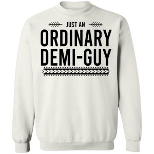 Just An Ordinary Demi-Gay T-Shirts, Hoodies, Sweater 22
