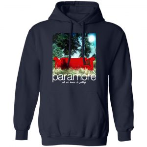 Paramore All We Know Is Falling T-Shirts, Hoodies, Sweater 7