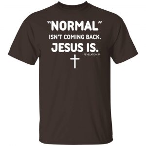 Normal Isn't Coming Back Jesus Is Revelation 14 T-Shirts, Hoodies, Sweater 19