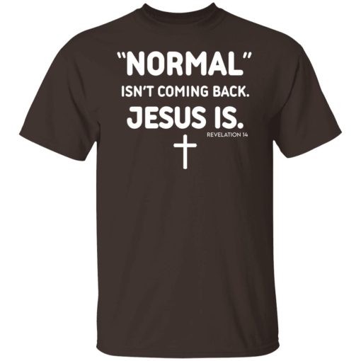 Normal Isn't Coming Back Jesus Is Revelation 14 T-Shirts, Hoodies, Sweater 8