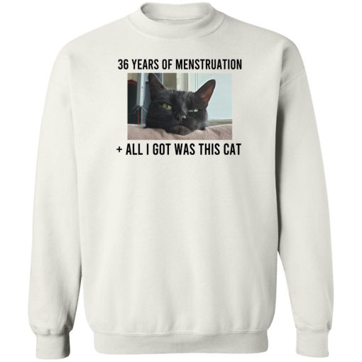 36 Years Of Menstruation All I Got Was This Cat T-Shirts, Hoodies, Sweater 3