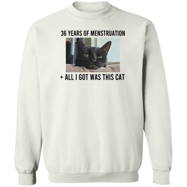 36 Years Of Menstruation All I Got Was This Cat T-Shirts, Hoodies, Sweater Apparel 7