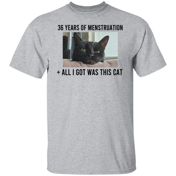 36 Years Of Menstruation All I Got Was This Cat T-Shirts, Hoodies, Sweater 9