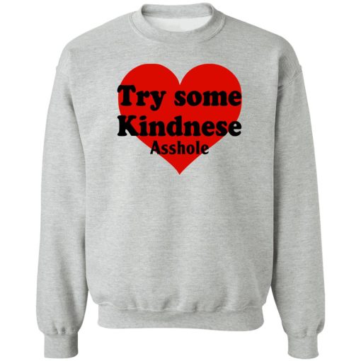 Try Some Kindnese Asshole T-Shirts, Hoodies, Sweater - Image 4