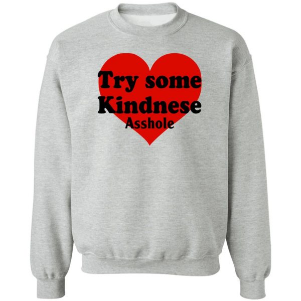 Try Some Kindnese Asshole T-Shirts, Hoodies, Sweater 4