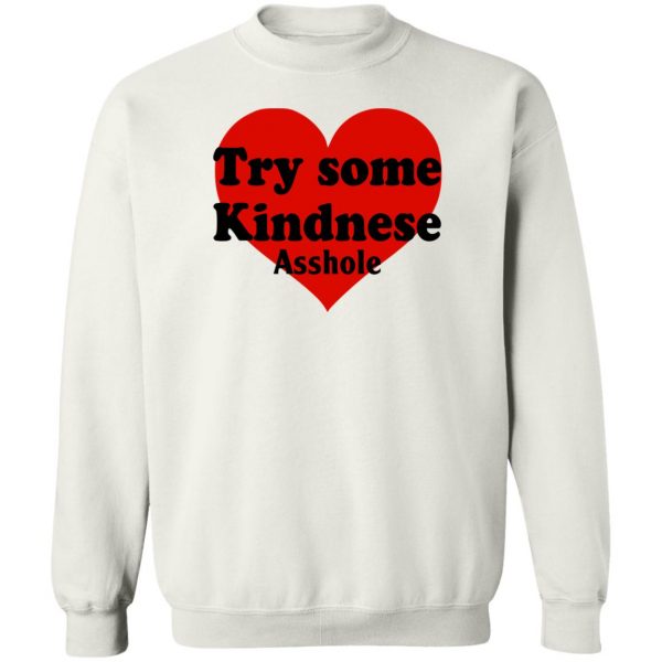 Try Some Kindnese Asshole T-Shirts, Hoodies, Sweater 5