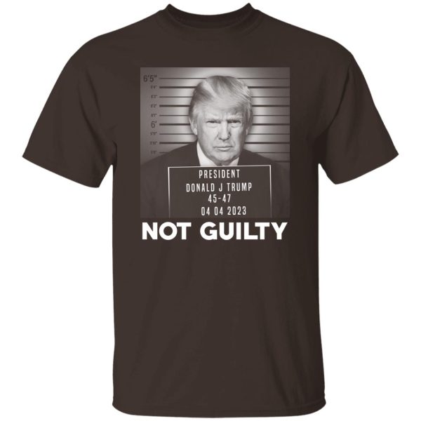 Trump Not Guilty President T-Shirts. Hoodies 8