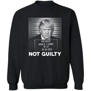 Trump Not Guilty President T-Shirts. Hoodies 16