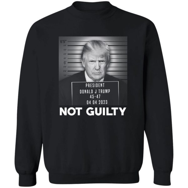 Trump Not Guilty President T-Shirts. Hoodies 5