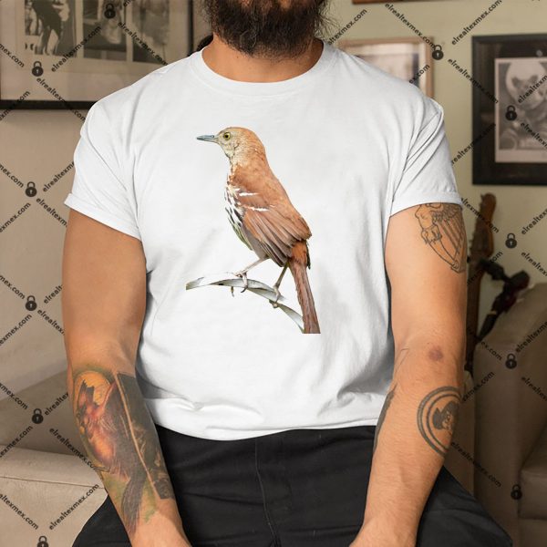 Huitlacoche-Bird-Cuitcacoche-Pico-Curvo-Mexican-Bird-Shirt