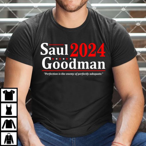 Saul Goodman 2024 Election