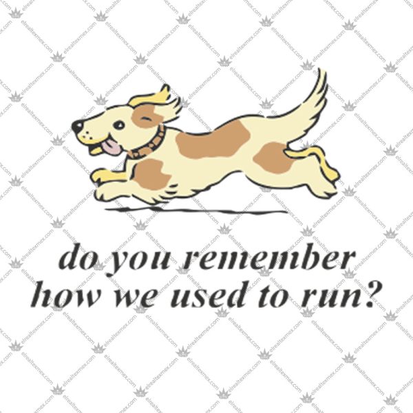 Do You Remember How We Used To Run Shirt 2