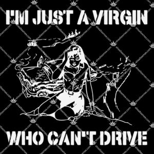 I'm Just A Virgin Who Can't Drive 1