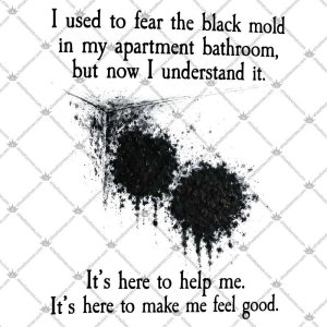 I Used To Fear The Black Mold In My Apartment, But Now I Understand It 4 I Used To Fear The Black Mold In My Apartment, But Now I Understand It TShirt