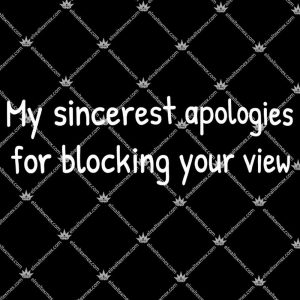 My Sincerest Apologies For Blocking Your View TShirt