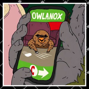 Owlanox The Big Lez Show TShirt