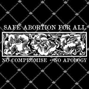 Safe Abortion For All No Compromise No Apology 3 Safe Abortion For All No Compromise No Apology Tshirt
