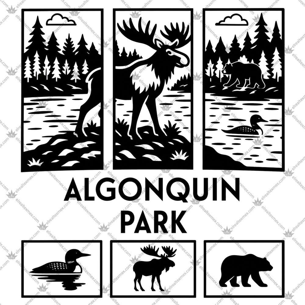 Algonquin Park 3 Algonquin Park TShirt
