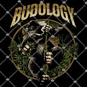 Budology Gorilla Face T Shirts