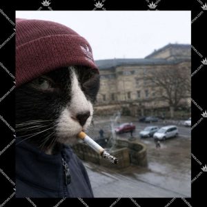 Cat Smoking Cigarette 3 Cat Smoking Cigarette Tshirt