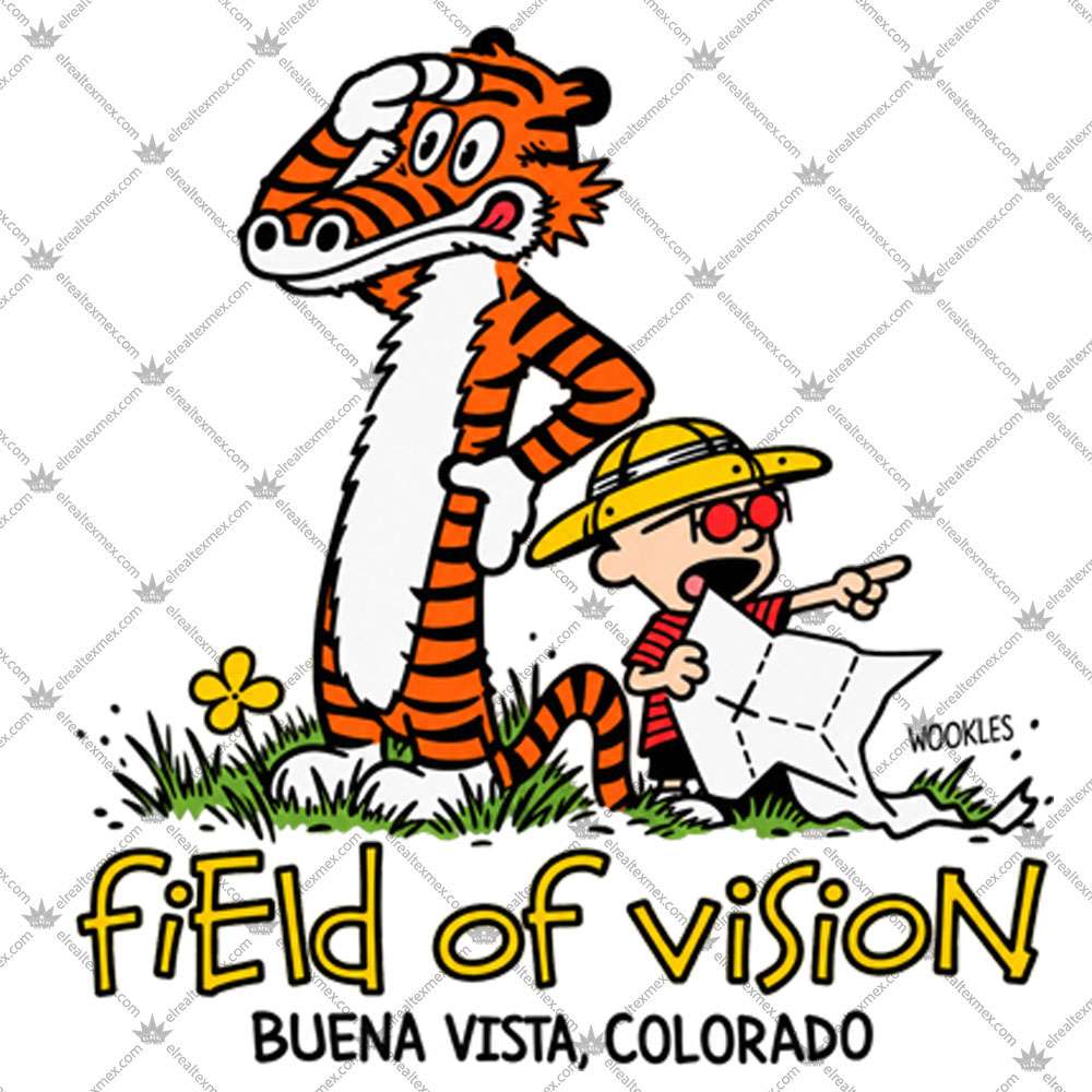 Field Of Vision Buena Vista Colorado 2 Field Of Vision Buena Vista Colorado T Shirts