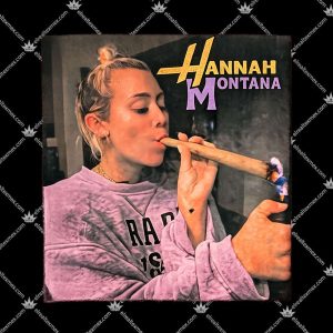 Hannah Montana 3 Hannah Montana T Shirts
