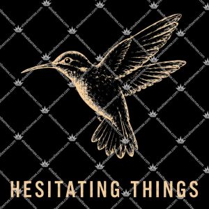 Hesitating Things Noah Kahan The Great Divide Tour Shirts