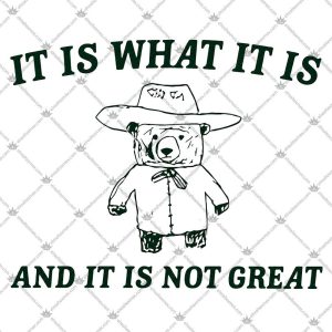 It Is What It Is And Its Not Great 5 It Is What It Is And Its Not Great Tshirt